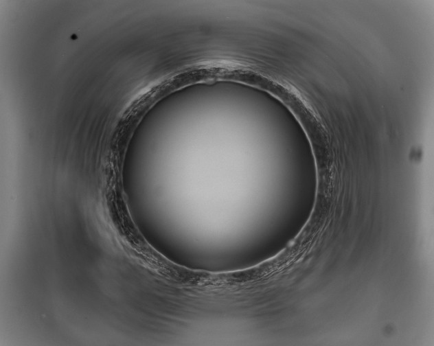 X0000100840967200806271108