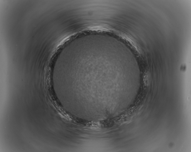 X0000100840968200806271108