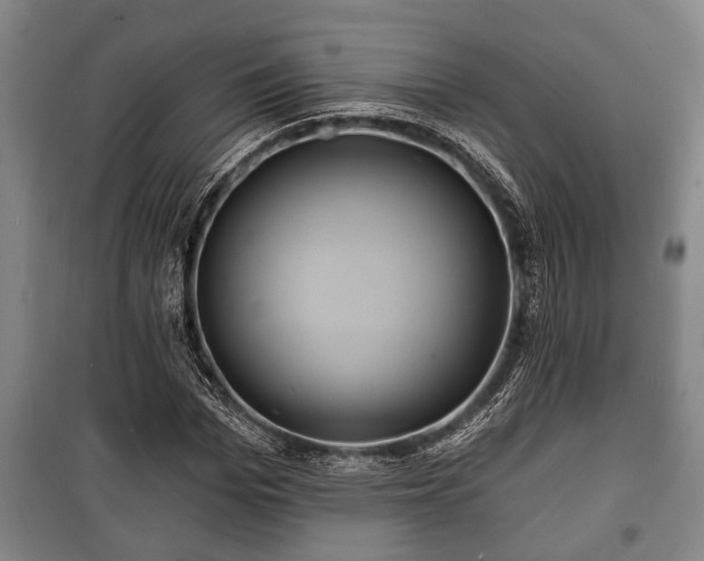 X0000100840969200806271108