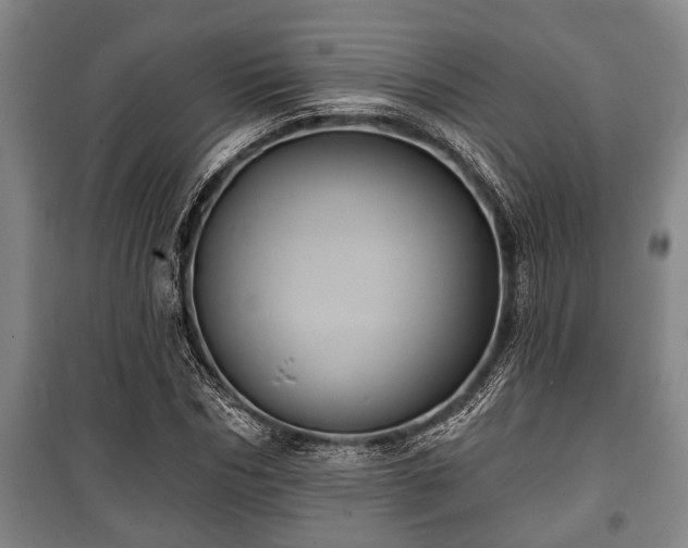 X0000100840970200806271108