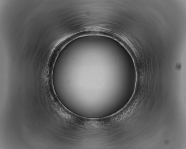 X0000100840971200806271108