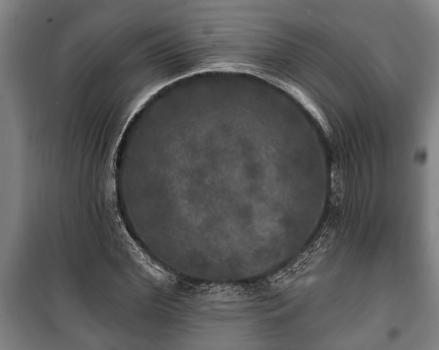 X0000100840972200806271108