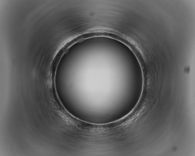 X0000100840973200806271108