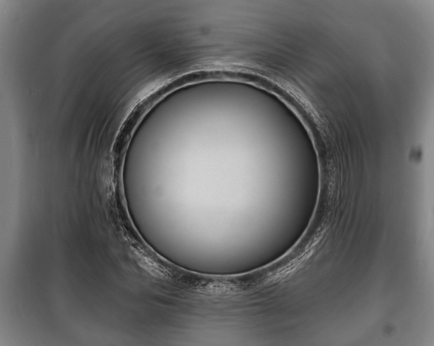 X0000100840974200806271108