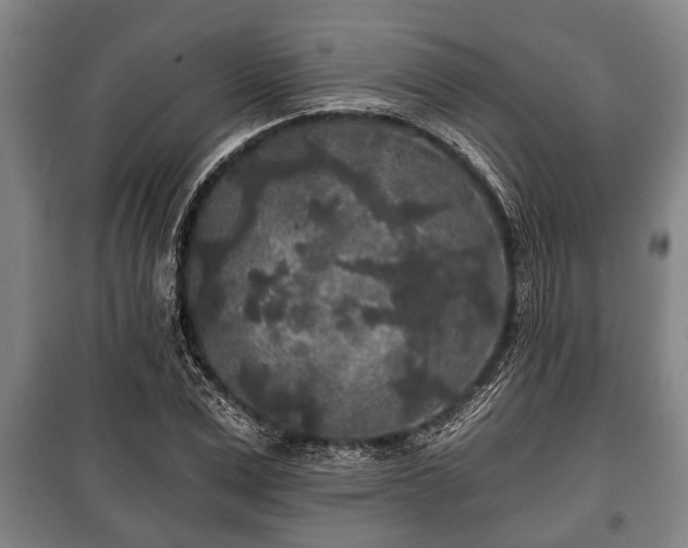 X0000100840975200806271108