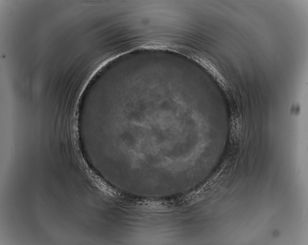 X0000100840976200806271108