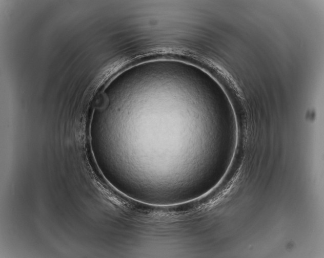 X0000100840977200806271108