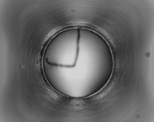 X0000100840978200806271108