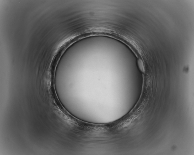 X0000100840979200806271108