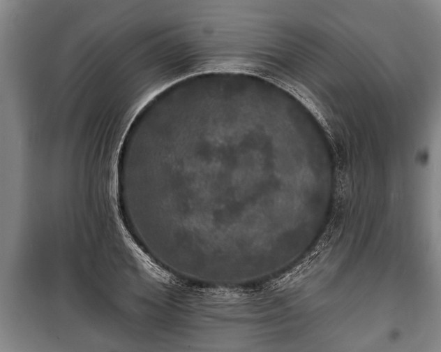 X0000100840980200806271108