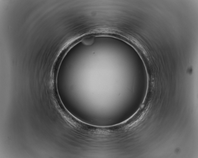 X0000100840981200806271108