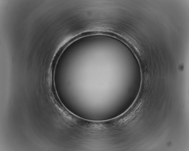 X0000100840982200806271108