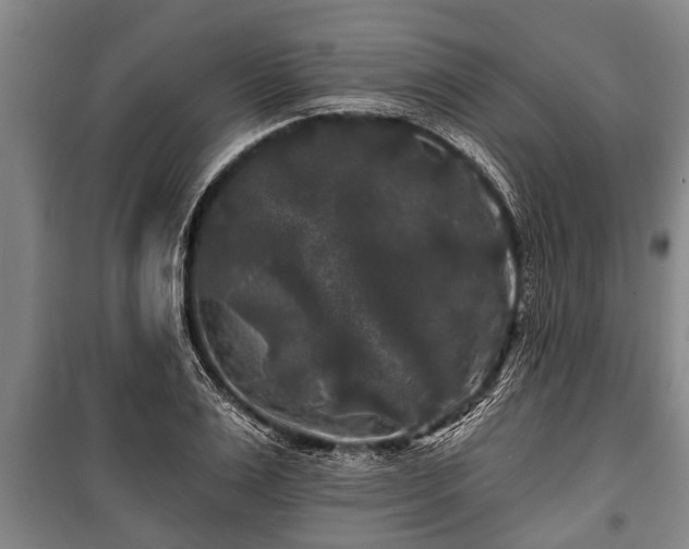 X0000100840983200806271108