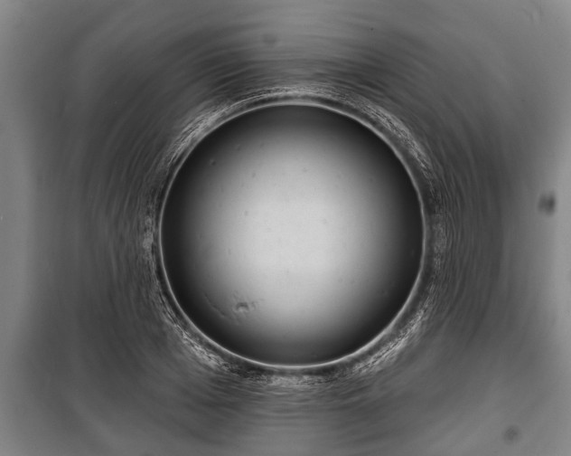 X0000100840985200806271108