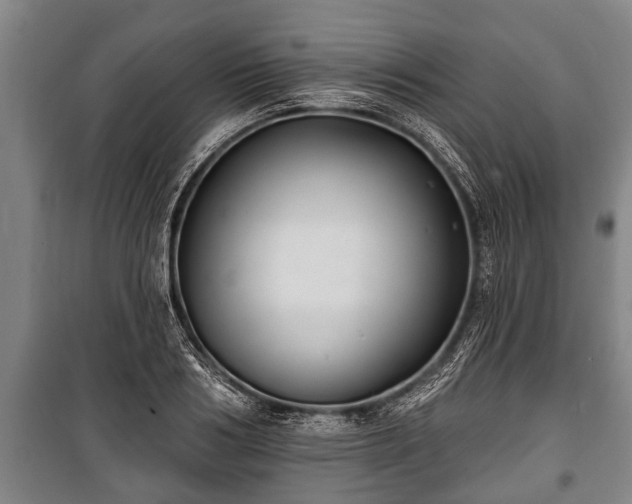 X0000100840986200806271108