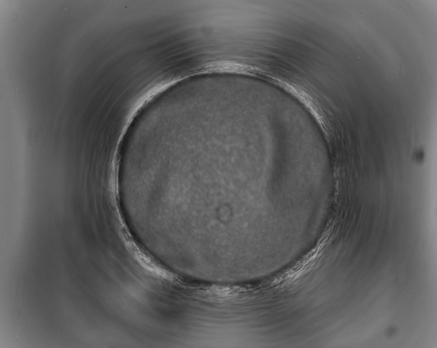 X0000100840987200806271108