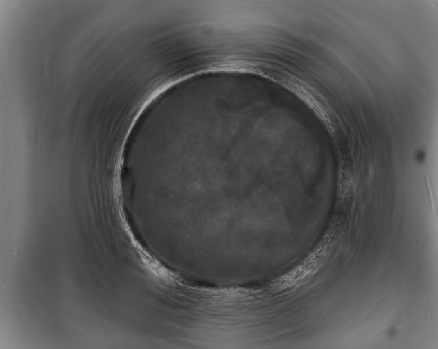 X0000100840988200806271108