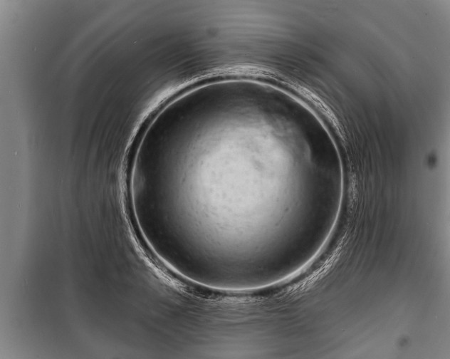 X0000100840989200806271108