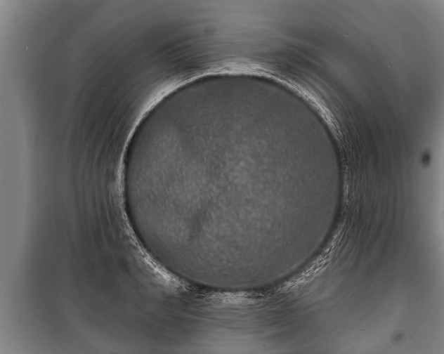 X0000100840990200806271108