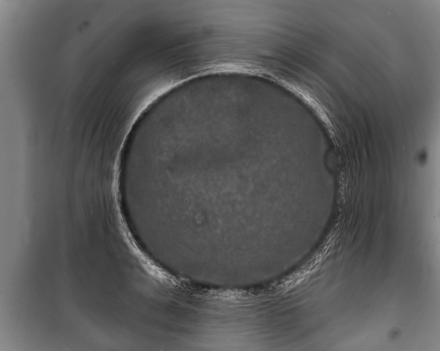 X0000100840991200806271108