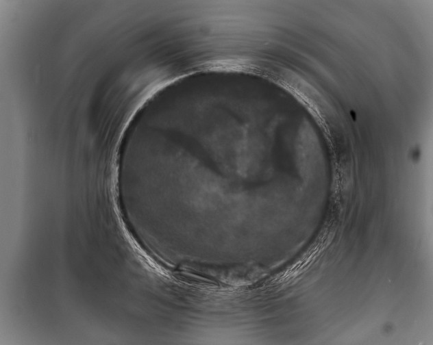 X0000100840992200806271108