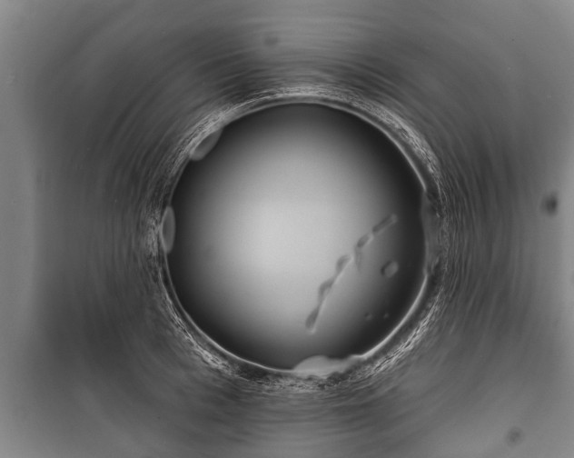 X0000100840993200806271108