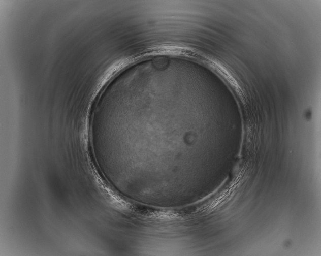 X0000100840994200806271108