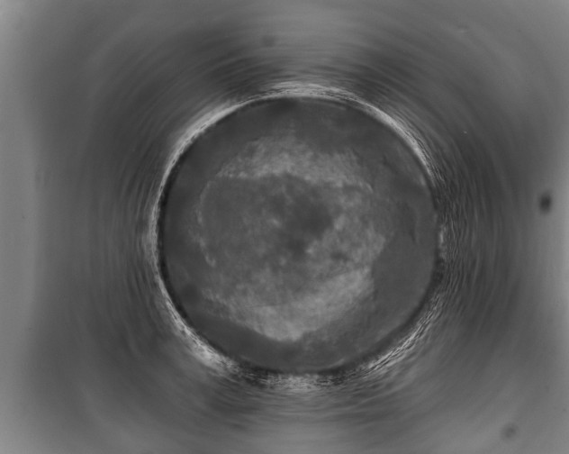 X0000100840995200806271108