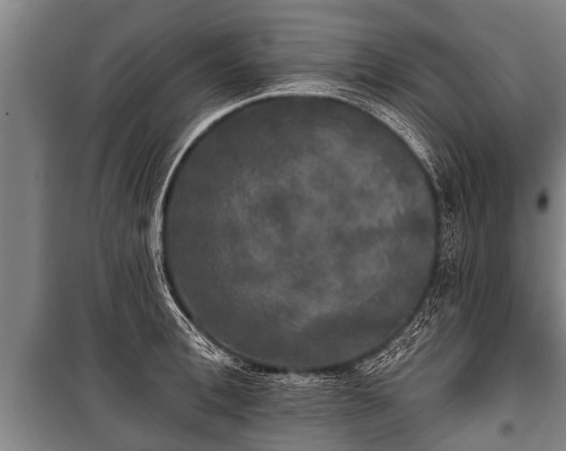 X0000100840996200806271108