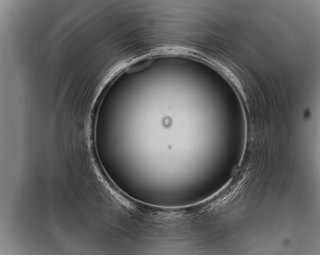 X0000100840997200806271108