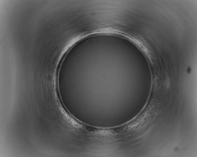 X0000100840998200806271108