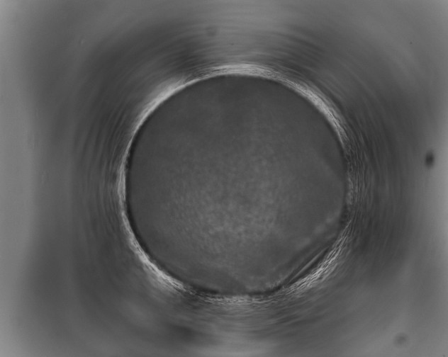 X0000100840999200806271108