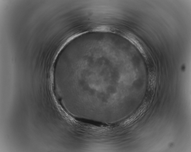 X0000100841000200806271108