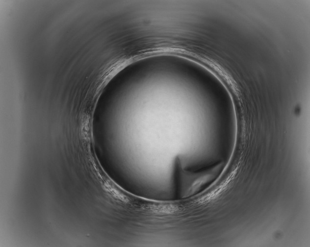 X0000100841001200806271108