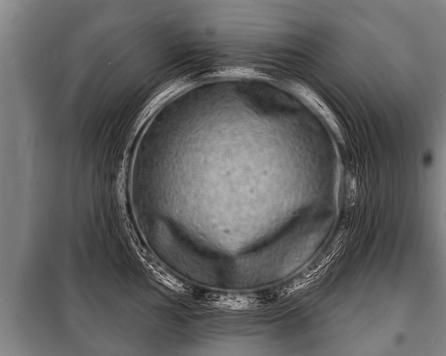 X0000100841002200806271108