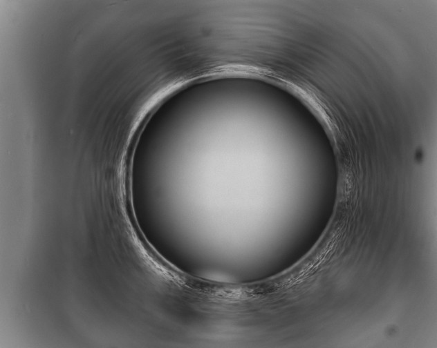 X0000100841003200806271108