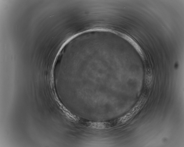 X0000100841004200806271108