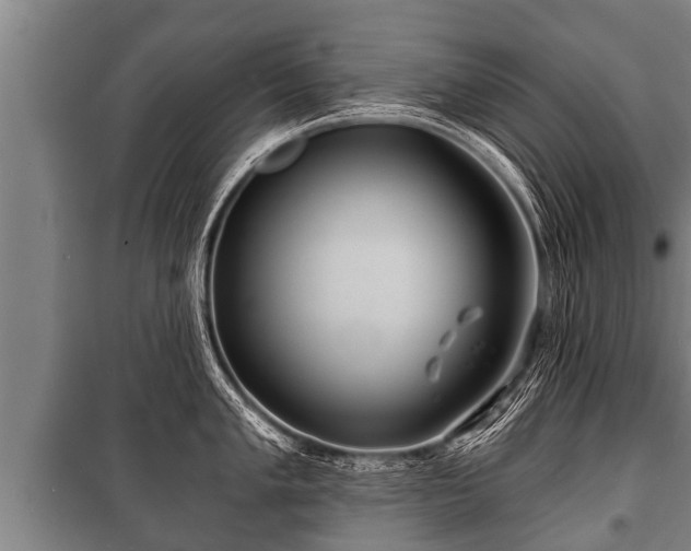 X0000100841005200806271108