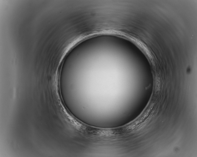 X0000100841006200806271108