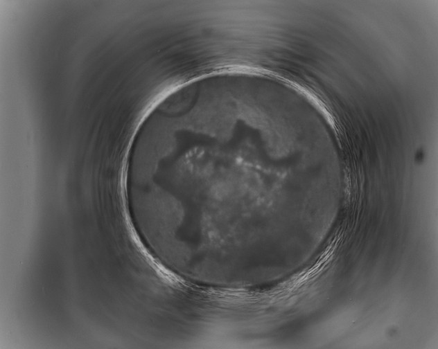 X0000100841007200806271108