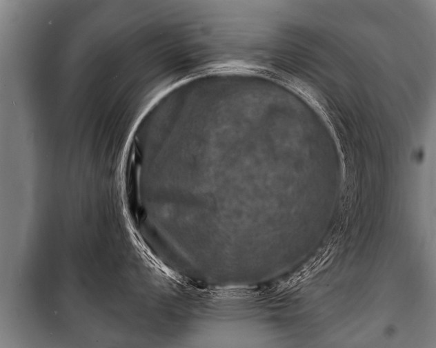 X0000100841008200806271108