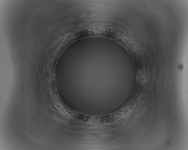 X0000100841009200806271107