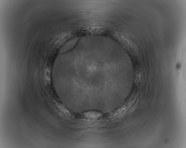 X0000100841010200806271107