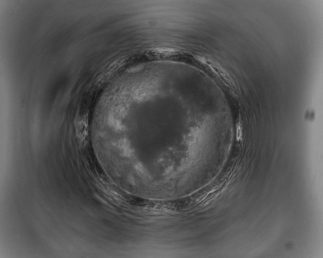 X0000100841011200806271107