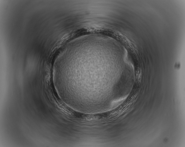 X0000100841012200806271107