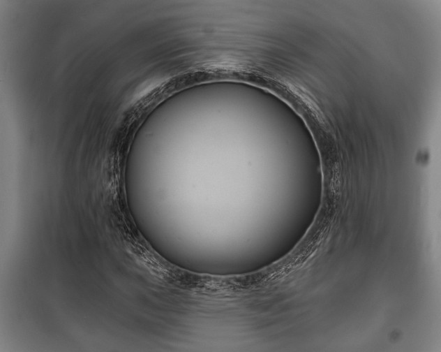 X0000100841015200806271107