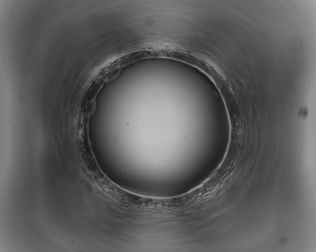 X0000100841016200806271107