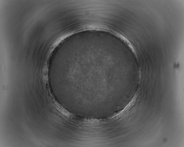 X0000100841019200806271107