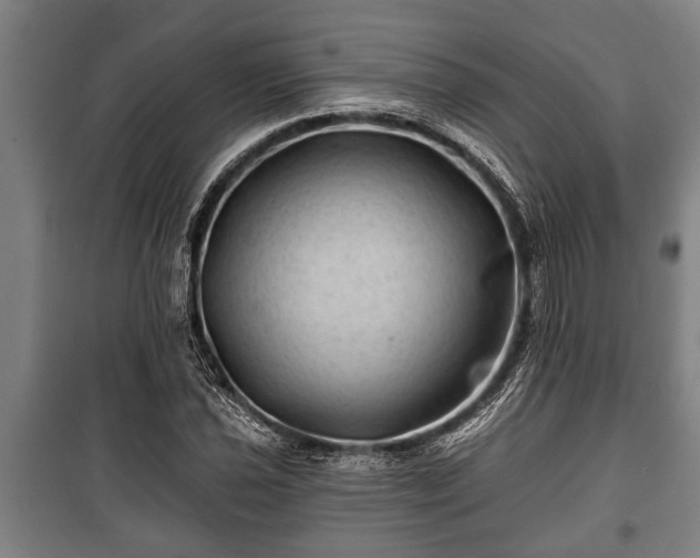 X0000100841021200806271107