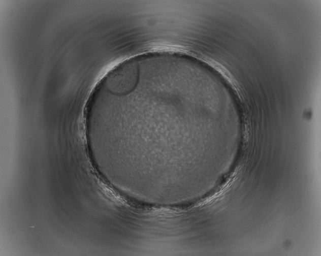 X0000100841022200806271107